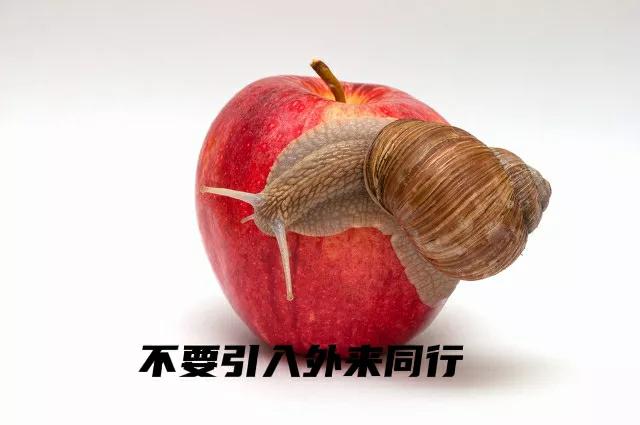 水蚤鱼虫养殖技术,用鱼粪养水蚤