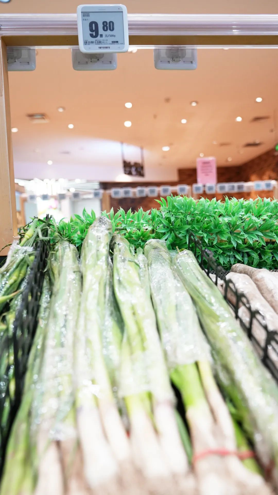 蒜苗卖9块钱一斤,蒜苗价