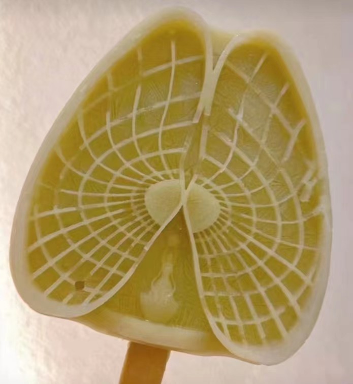 蚌埠为什么突然火了,蚌埠为什么突然火了图片