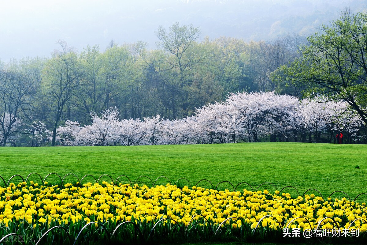 3月20日24节气的春分,2023年的春分节气