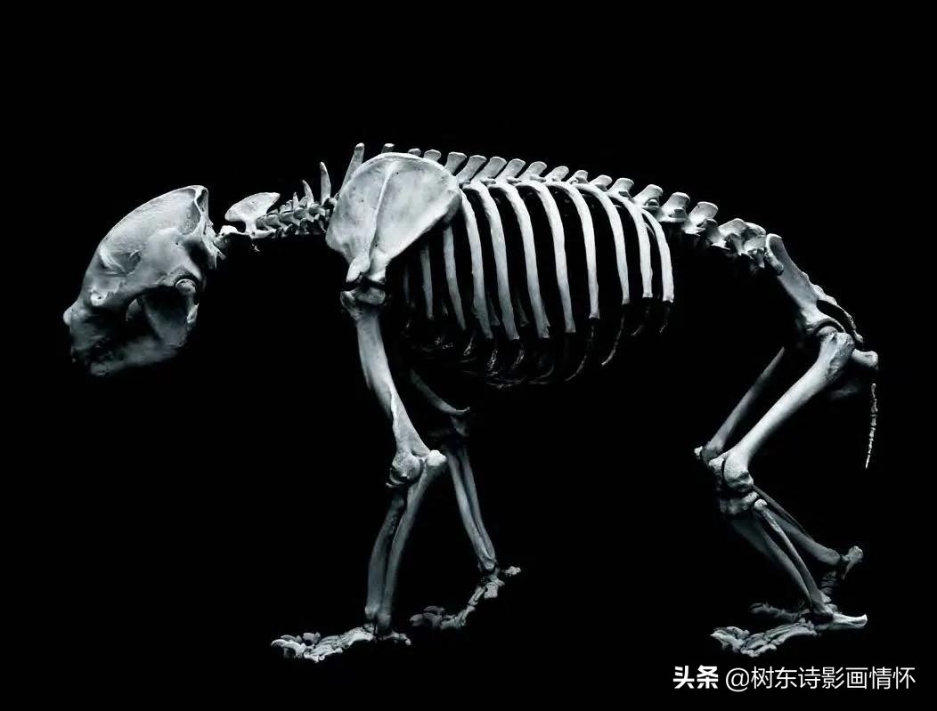 摄影美到极致令人一见倾心,旧景摄影别样美