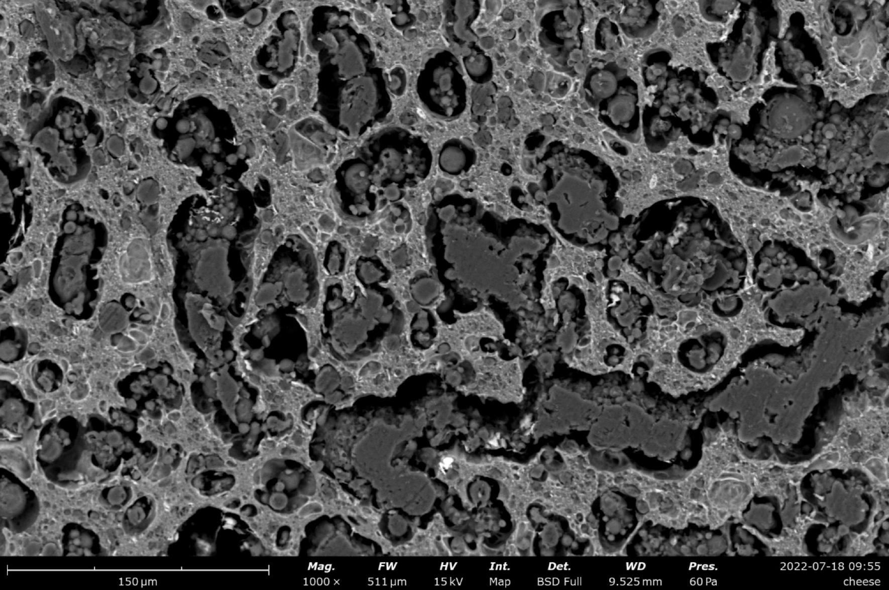 飞纳电镜和含水样品的冰雪奇缘
