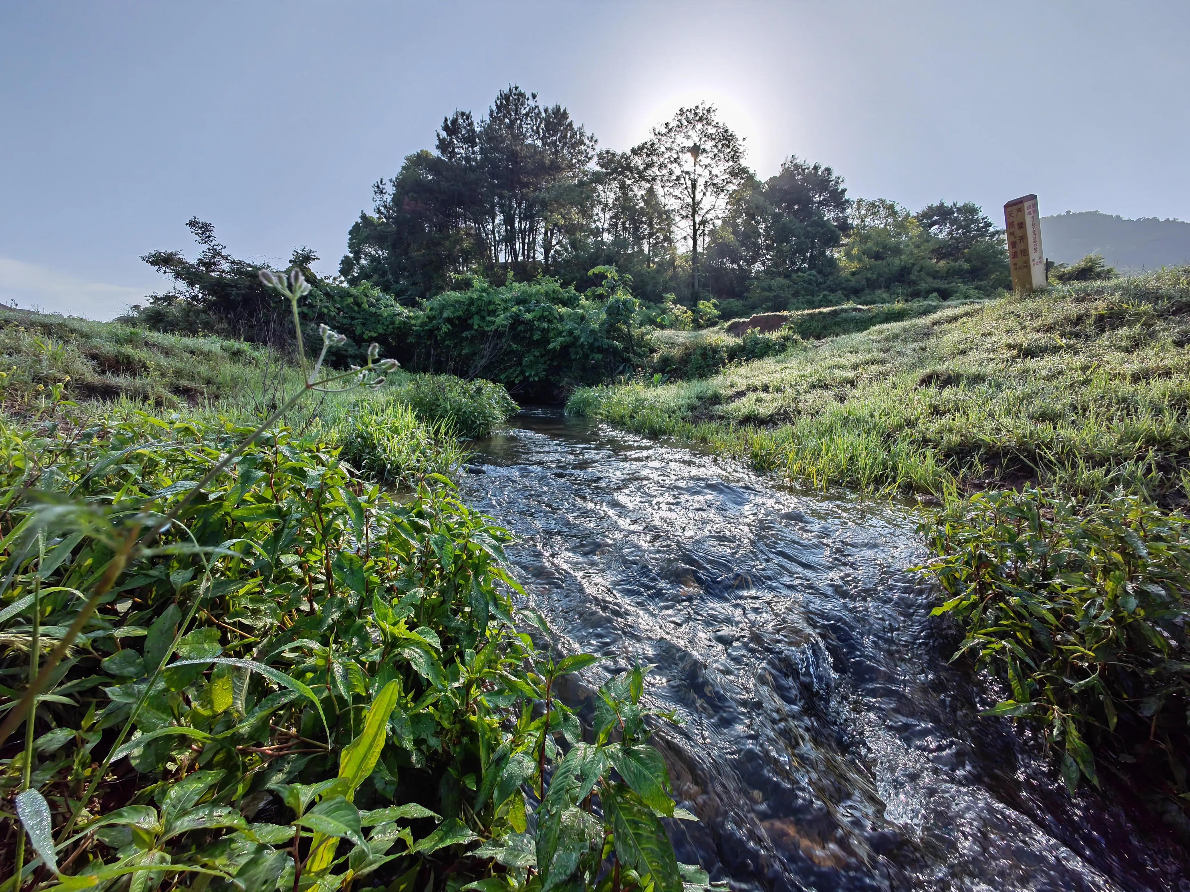 株洲办了个“厂BA”，湘潭来了个冠军，株洲人一片叫好！