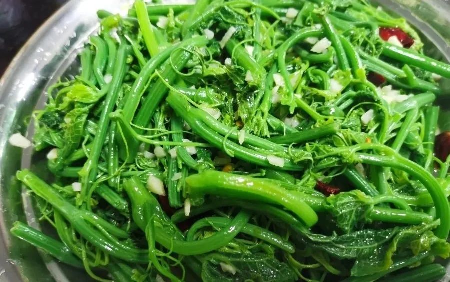 果实怎么炖汤好喝,果子叶怎么煮好吃窍门