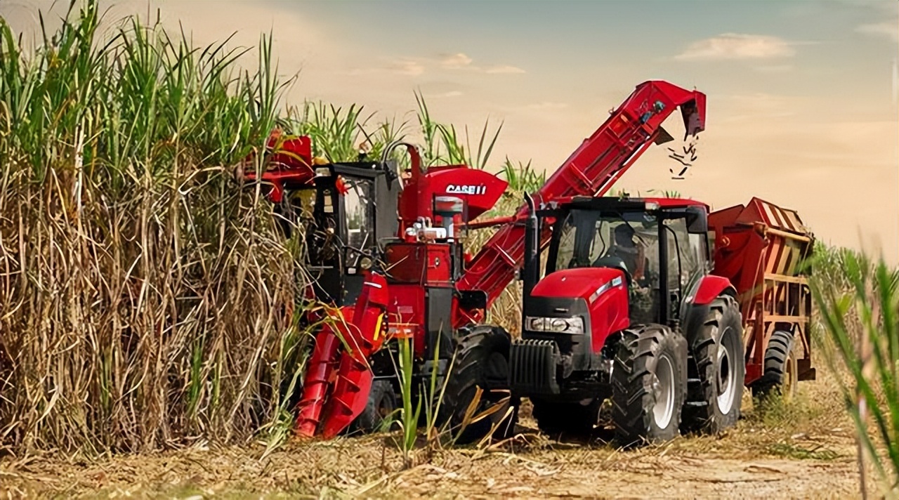 白糖掺葡萄糖属于造假吗,白糖加葡萄糖有毒吗