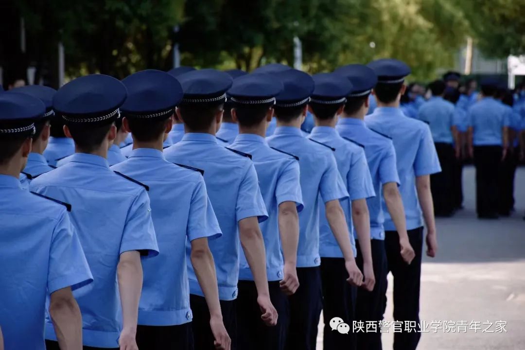 公安专业志愿填报模板,2021年警察专业志愿填报