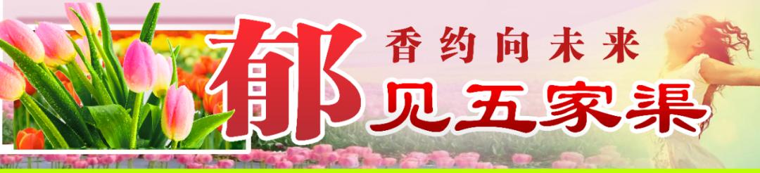 五家渠旅游路线,五家渠攻略