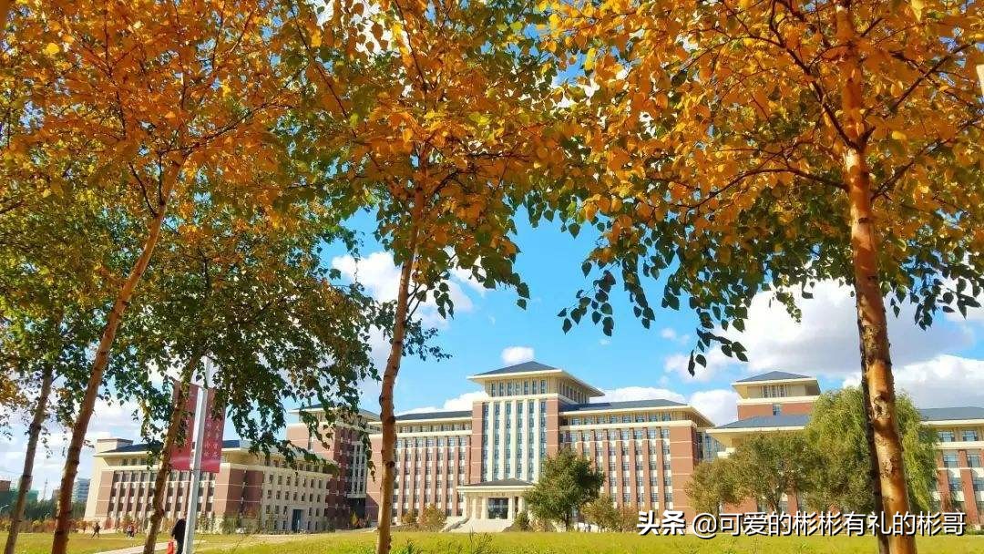 吉林大学是副部级大学吗,吉林大学大湾区