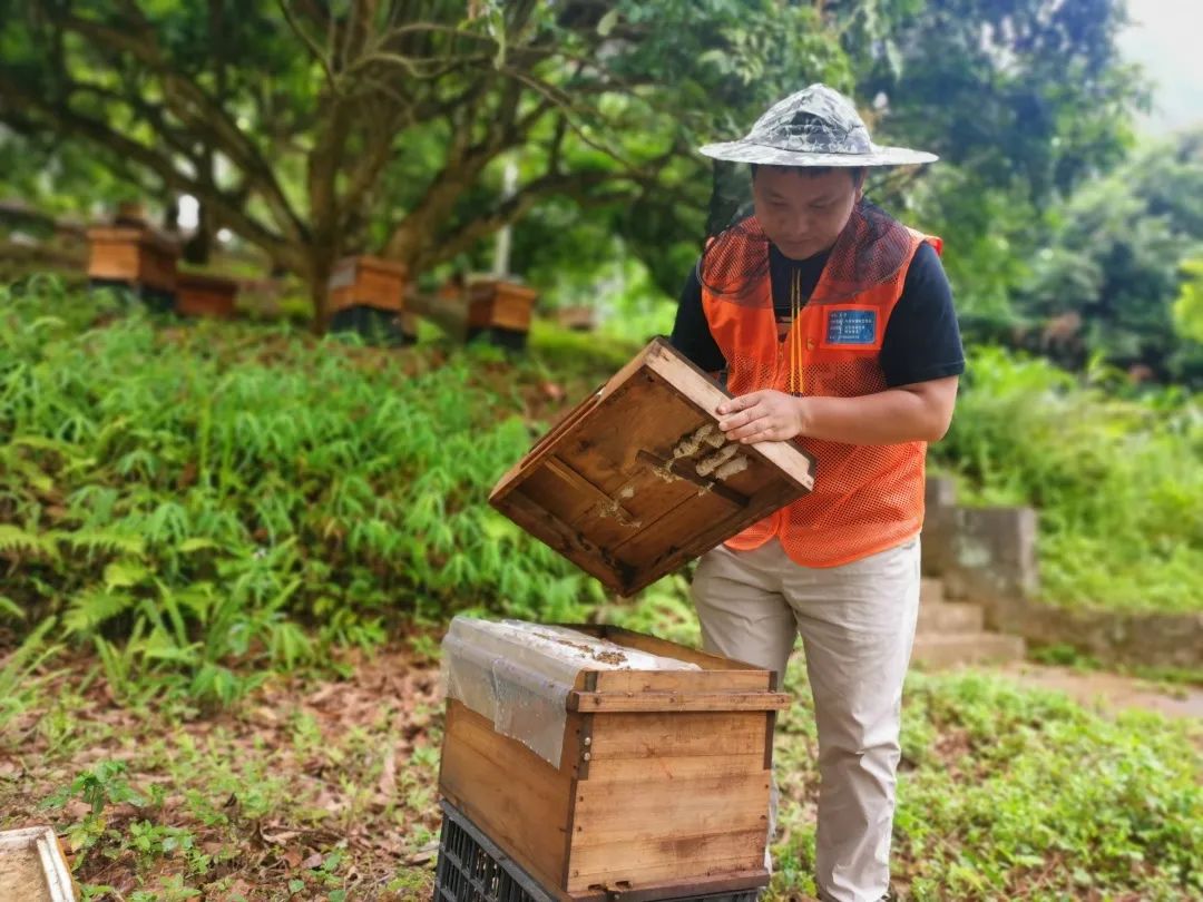 蜜甜，菜甜，幸福的生活更甜