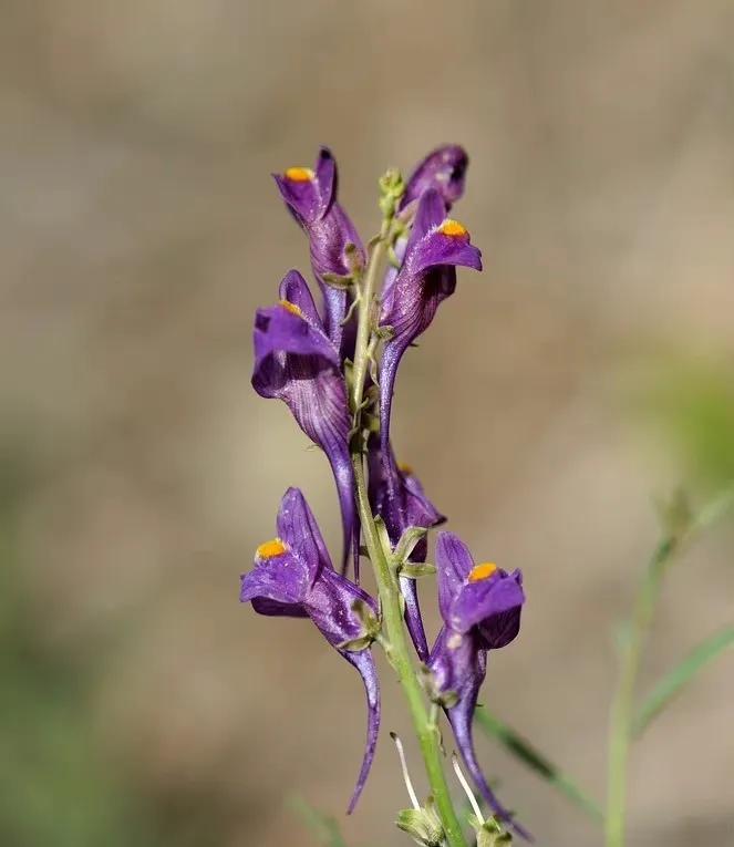 给你全部的温情与热爱,想给你全部的温情和热爱