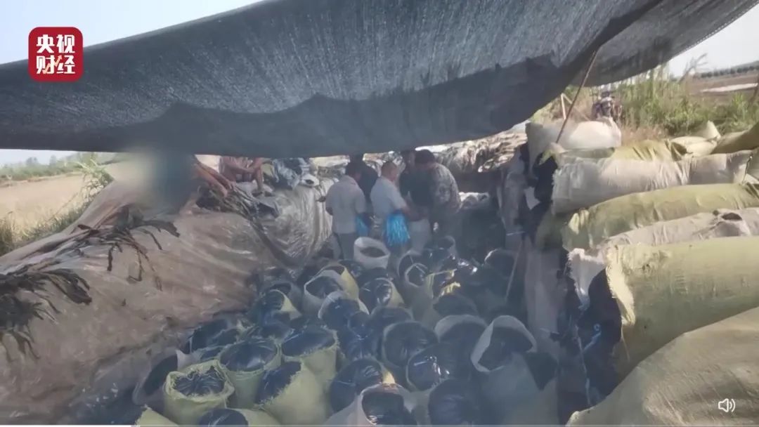 315揭开了它的真面目,315都曝光了哪一些