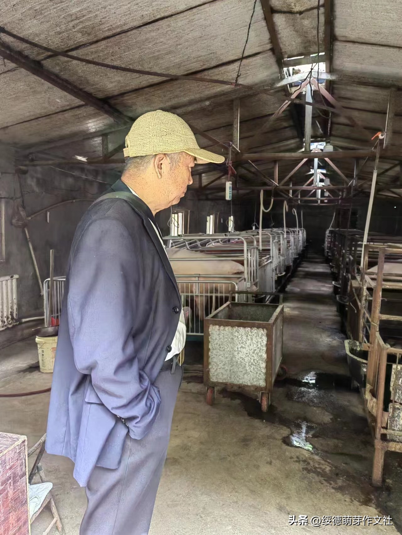 绥德马家坬,陕西绥德赵氏族谱字辈