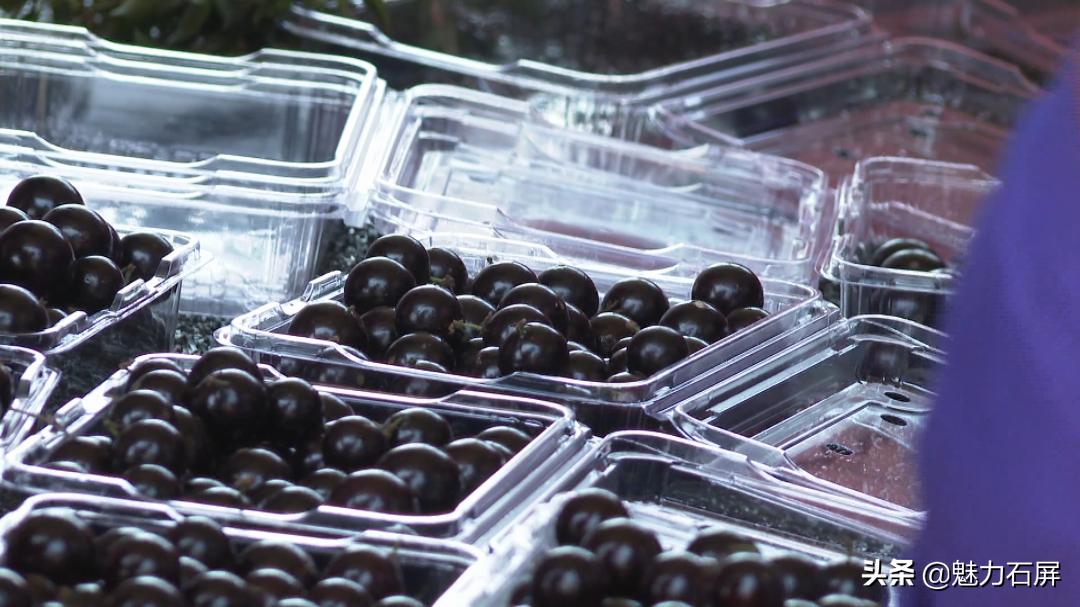 一果四味是什么水果,一果四味