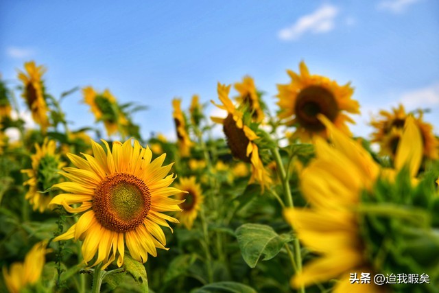选一个自己最舒服的生活方式,或许改变自己会让自己过得舒服点