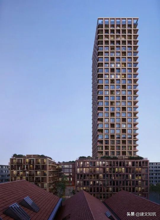 waf2023世锦赛,waf国内排名