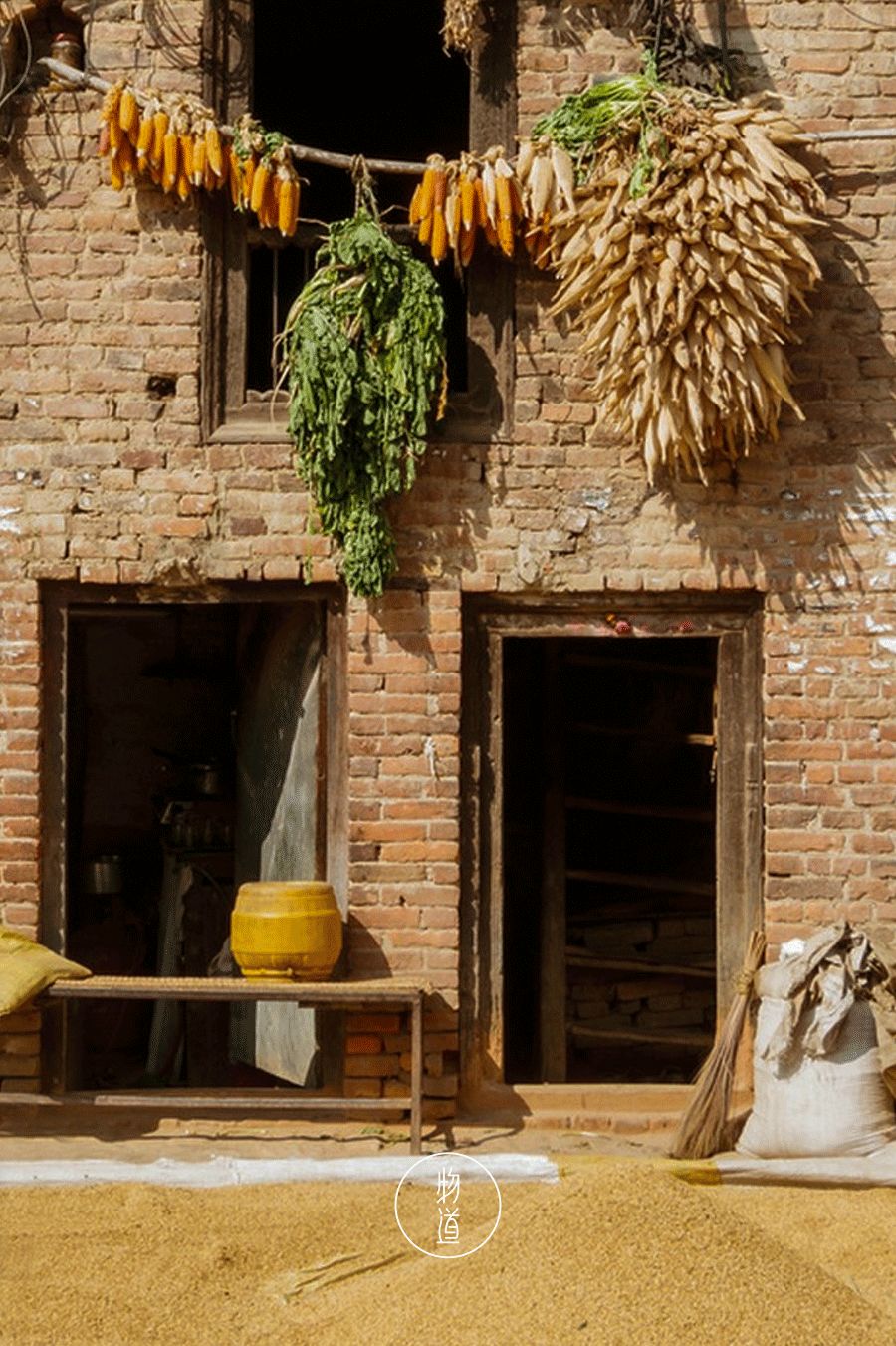 处暑的读音,处暑节气