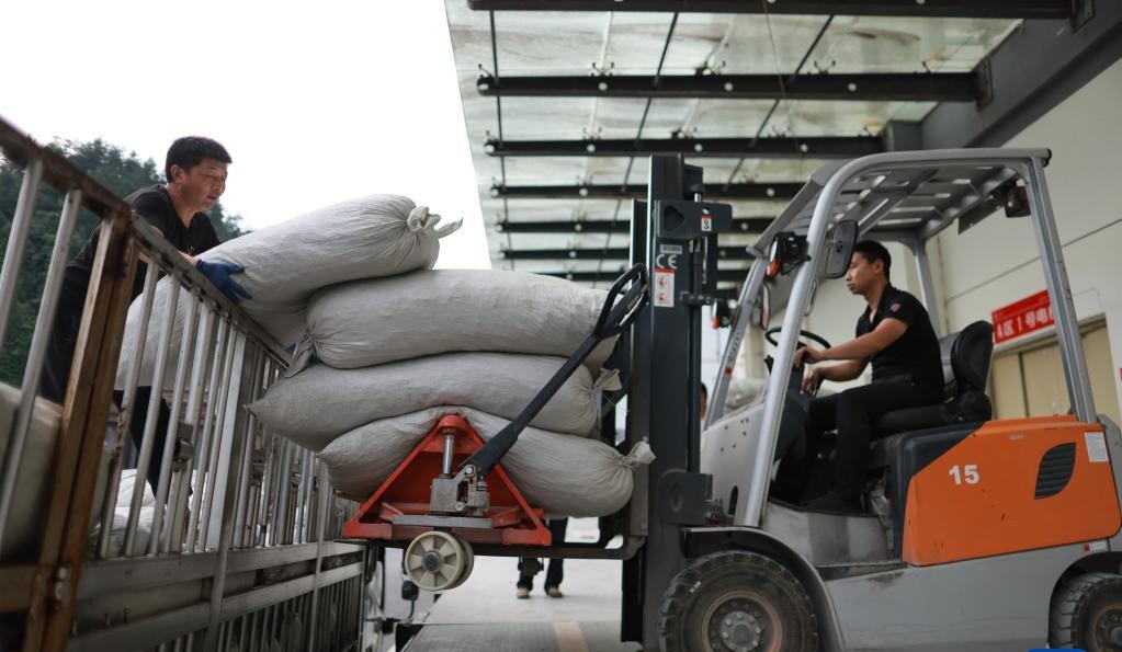 从京东、阿里到满帮、安能、德邦……巨头的新“角斗场”：产业带