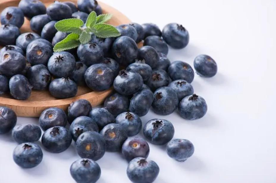 眼睛干涩建议补充什么营养素,眼睛干涩视力模糊吃什么营养品