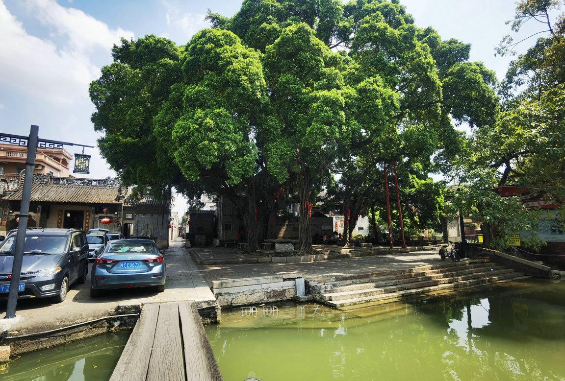 佛山古村落美食,隐藏在佛山古村的私房菜2元