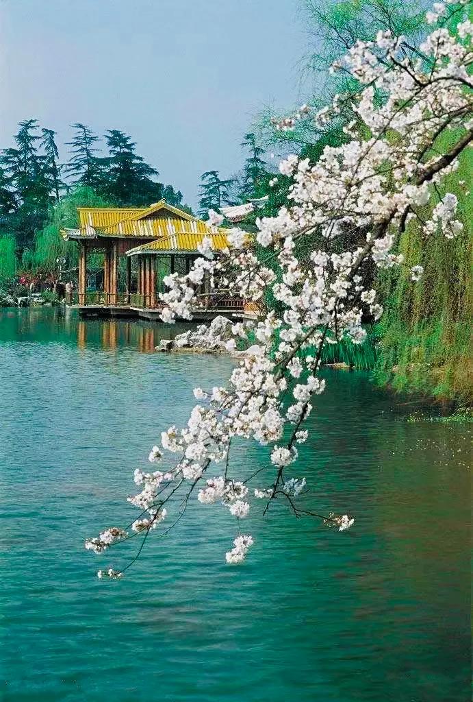 杭州西湖照片,杭州西湖旅游攻略