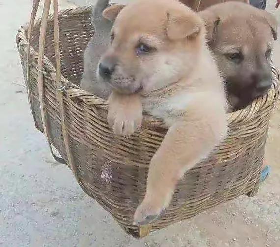 Tosittight坐紧了？No