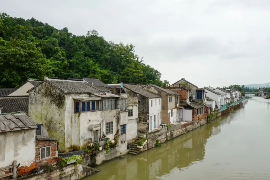 我去竹林避暑了，夏天过完再通知我！