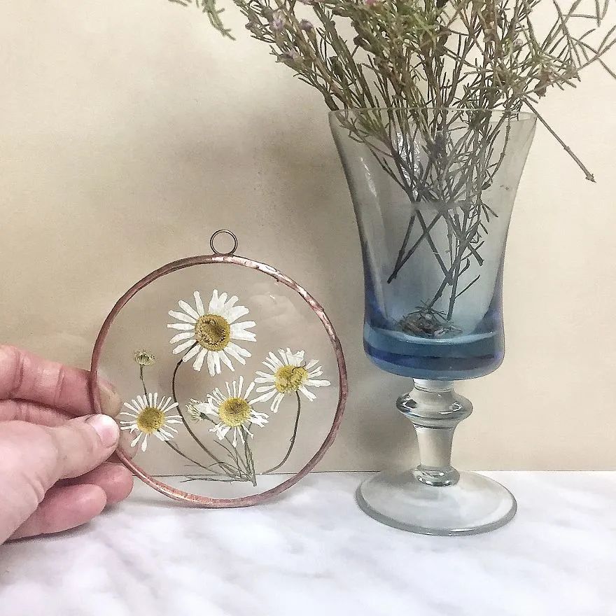 快来抄作业！她用3年时间，把植物标本做成了艺术品