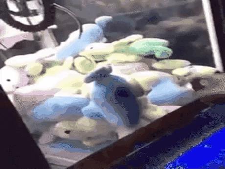 女朋友平胸该怎么安慰她,女朋友平胸该怎么安慰