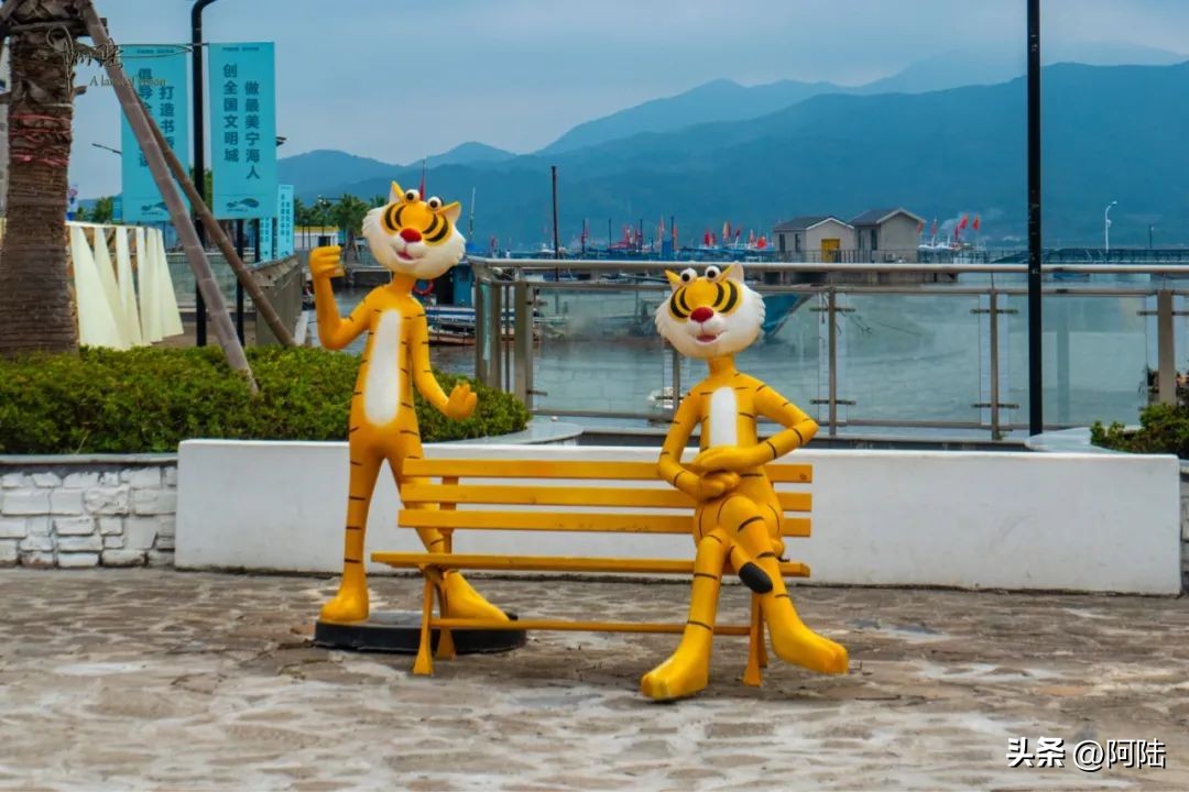 在宁海湾遇见最孤独的咖啡馆，它的面积不大，却“ins风”十足