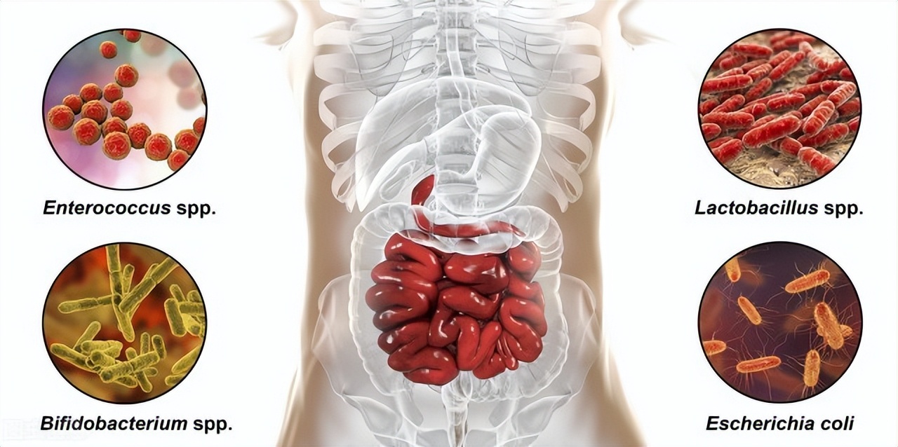肚子胀气绞痛放不出屁怎么缓解,着凉了肚子胀气隐隐作痛怎么缓解