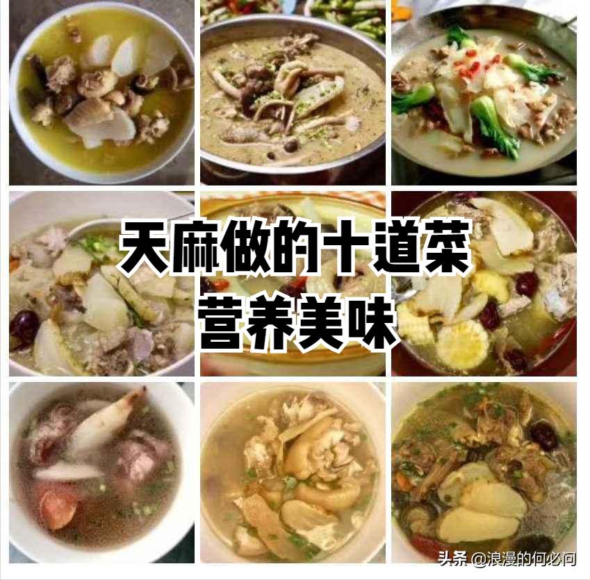 云南昭通天麻非野生天麻切片,昭通天麻正宗做法