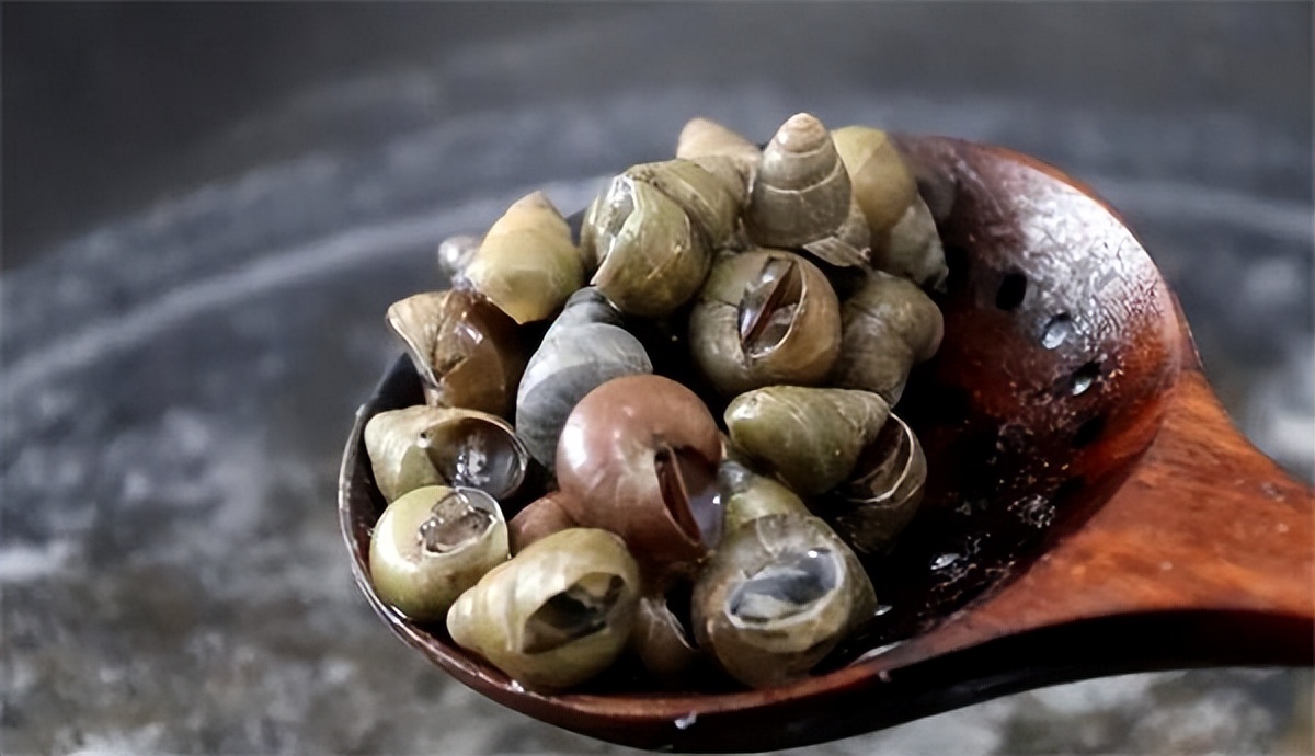 螺蛳粉被列为国家二级保护动物吗,国家二级保护动物螺蛳粉