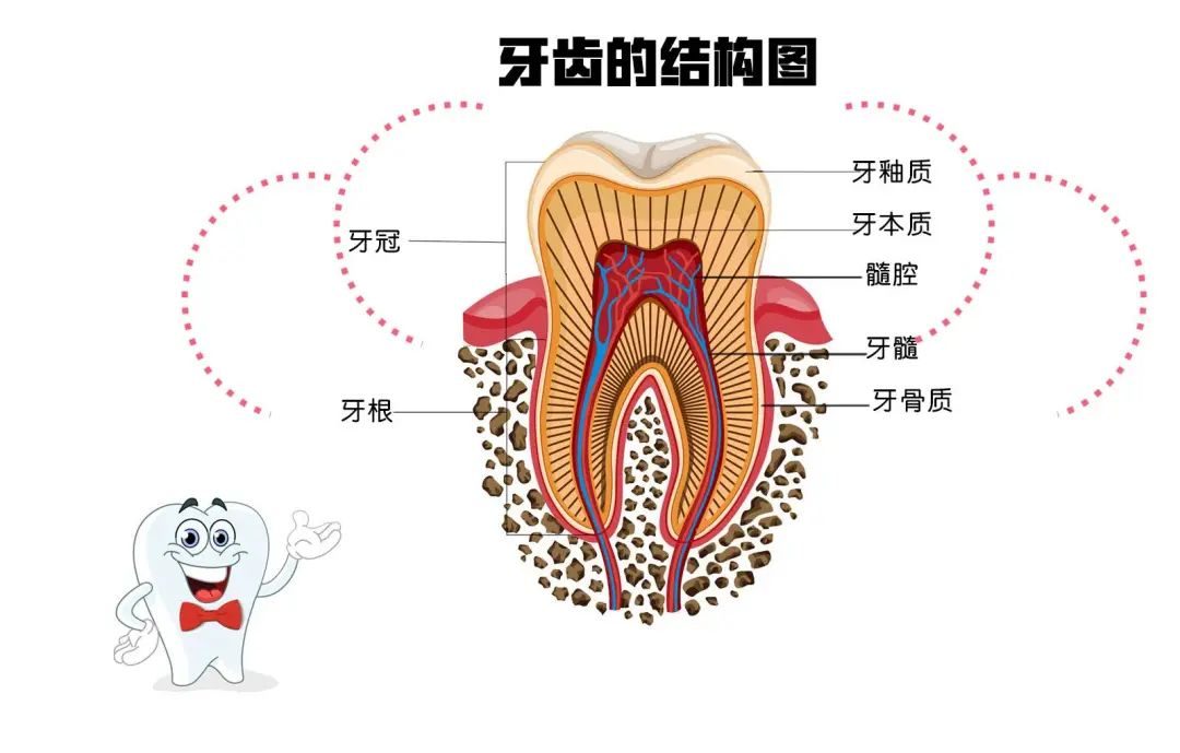牙齿美白技术有哪些冷光美白,冷光美白牙齿后变黄了