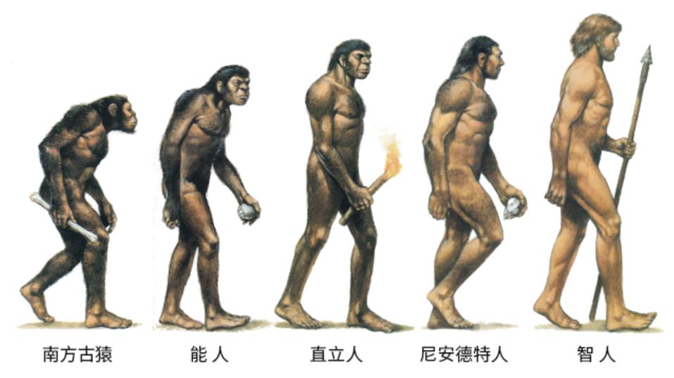 y染色体基因序列,y基因代表男还是女