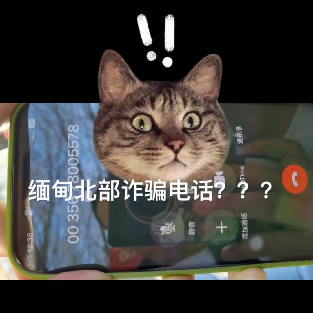 小姐姐套路网络诈骗,小姐姐遇上网络诈骗