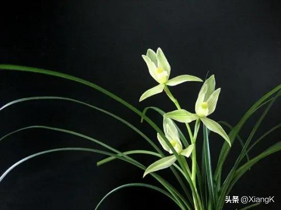 一天一个成语典故,一天一日的成语