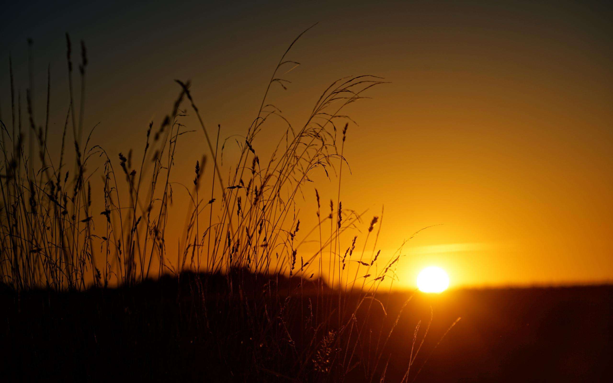 在时间的河流里,在时间的河流沉淀自己的灵魂
