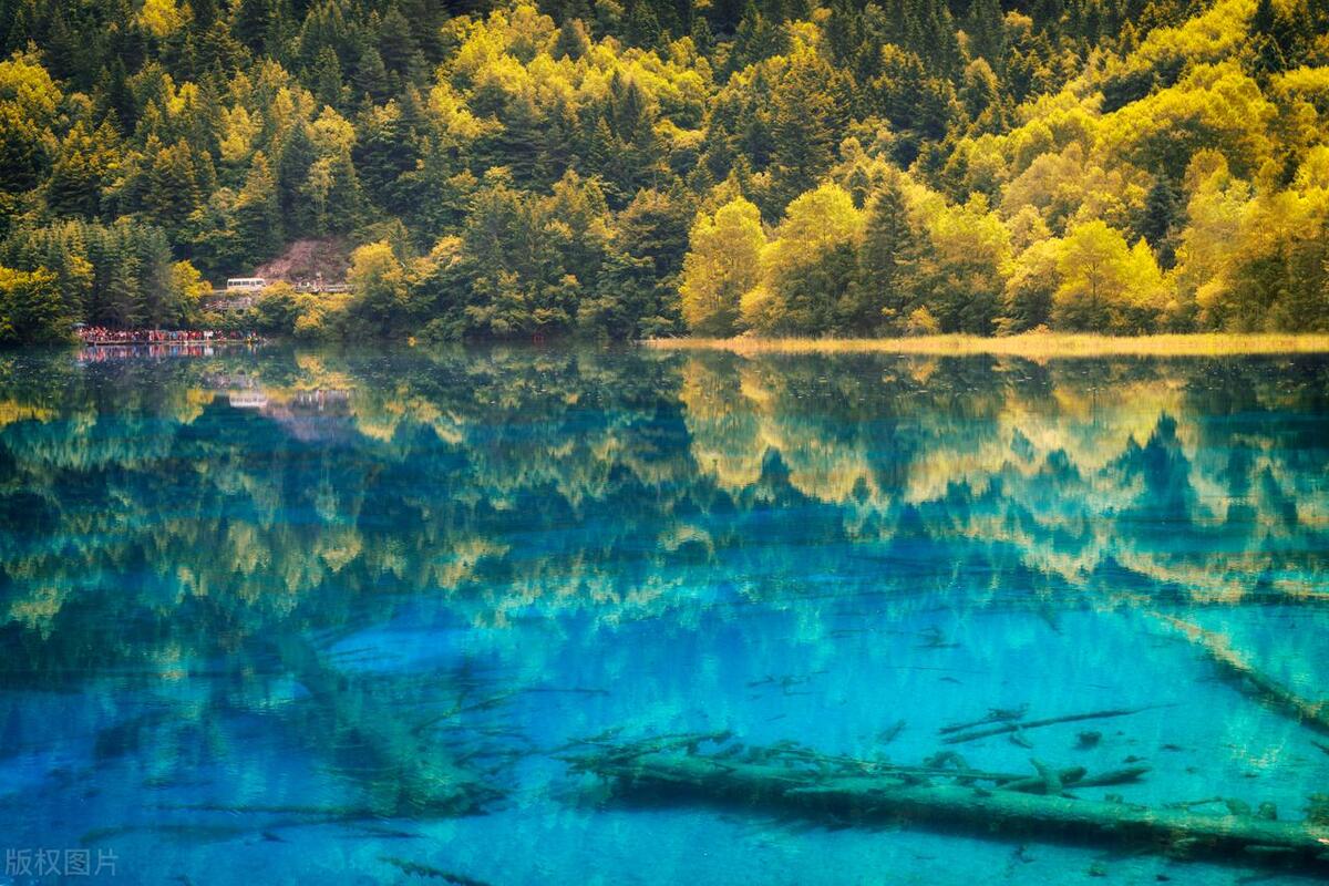 成都旅游攻略五天自由行多少钱,四川成都旅游攻略五日游多少钱