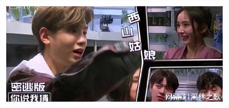 内娱文盲遍地,吐槽内娱文盲