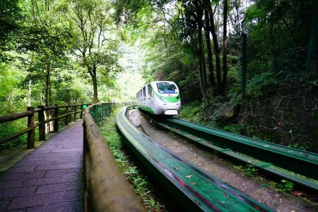 张家界旅游推荐景点大全,张家界武陵源旅游攻略最新