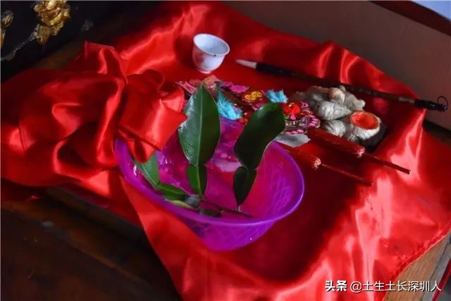 醒狮和瑞狮的区别在哪,醒狮的运动特点