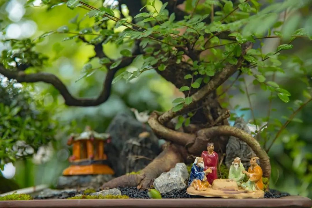 深圳-2023大部分免费！五一假期游玩攻略在这！每一个都很想去！