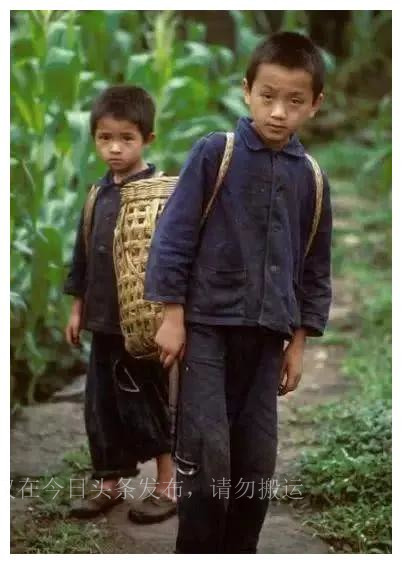 捉蛇人的故事,女人捉蛇的下场