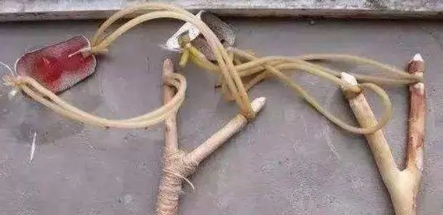 80后的回忆致逝去的青春,80后的怀念回不去的青春dj舞曲