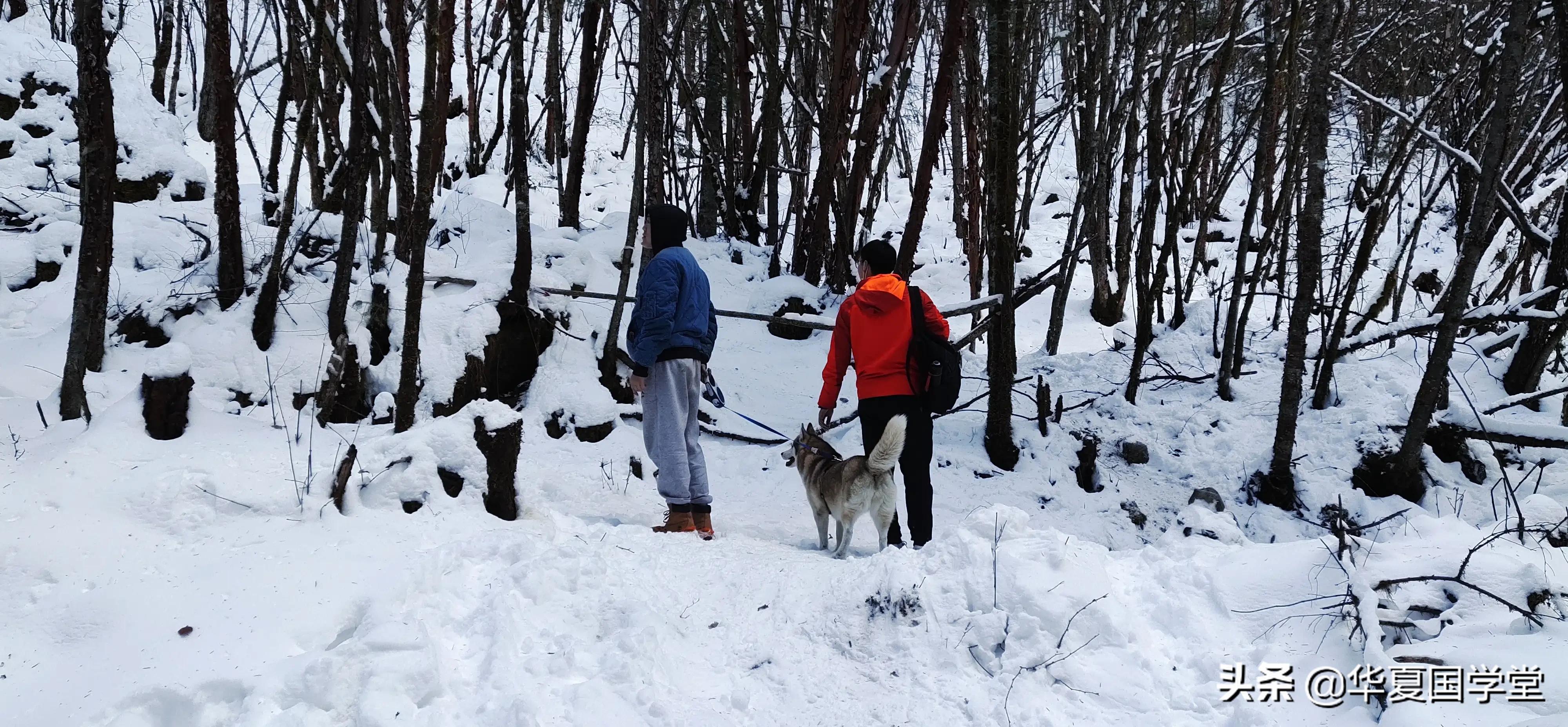 梦开始的地方-记难忘的公司团建活动，有趣的孟屯河谷雪地之行