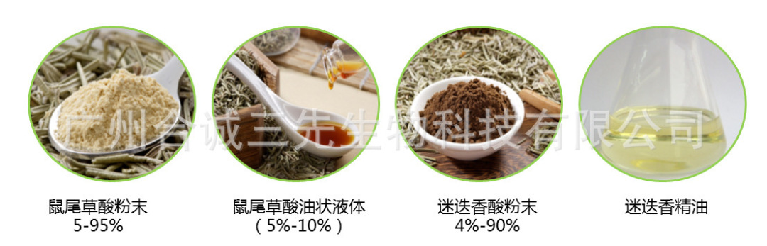 迷迭香的应用领域,迷迭香的产地和传统用途有哪些