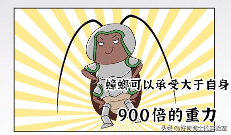 家里踩死的蟑螂，为啥一会儿就自动消失了？