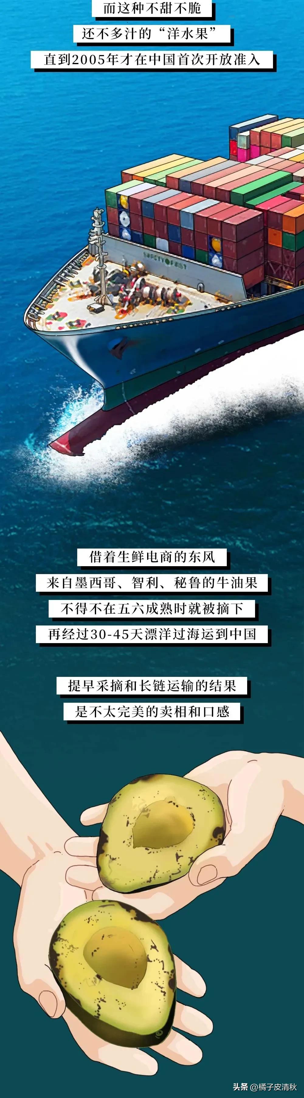 墨西哥进口牛油果,墨西哥牛油果云南