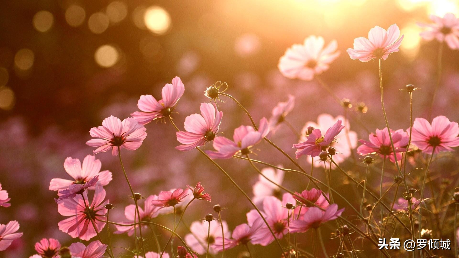 许三观卖血记卖一次血挣多少,许三观卖血记小说在线阅读