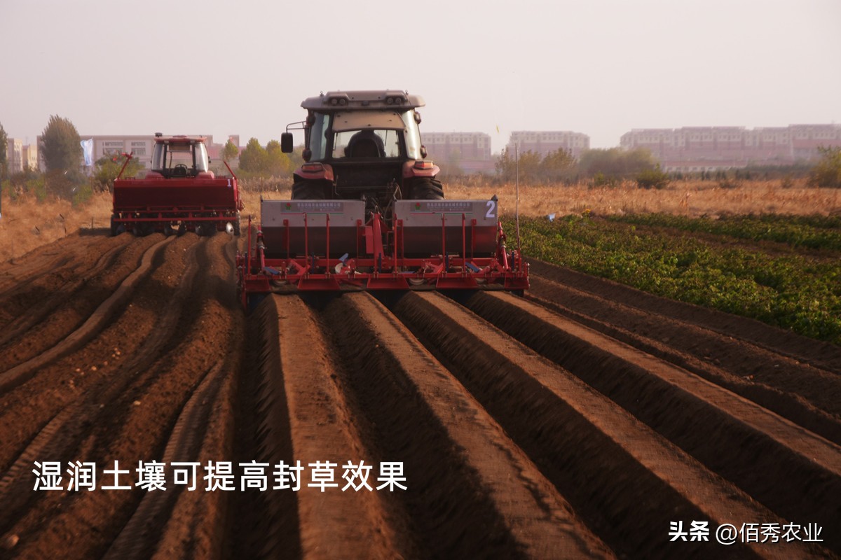 除草剂二甲戊灵有哪些,二甲戊灵除草剂使用技术问题